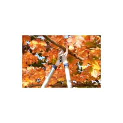Spear & Jackson Razorsharp Tele Bypass Lopper -Garden Tool Store 12810811 1464833196929633