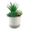 Dipped Ceramic Pot With Plant - Green 2 Dipped Ceramic Pot With Plant - Green -Garden Tool Store 12833692 1344872070198494