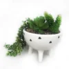 Trailing Plant In White Pot With Legs -Garden Tool Store 12833718 6054831603897446