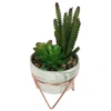 Artificial Succulent In Rose Gold Stand -Garden Tool Store 12879282 4604858348076790