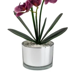 Orchid With Silver Glass Pot - Purple -Garden Tool Store 12879285 1054864281948609