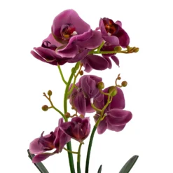 Orchid With Silver Glass Pot - Purple -Garden Tool Store 12879285 2084864281975504