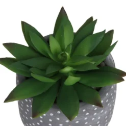 Small Succulent - Grey -Garden Tool Store 12909500 1734869235660464