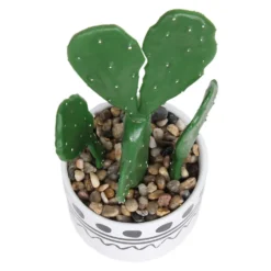 Cactus In Abstract Pot 10 Cactus In Abstract Pot -Garden Tool Store 12909502 1064869235554777