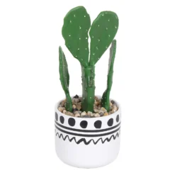 Cactus In Abstract Pot 9 Cactus In Abstract Pot -Garden Tool Store 12909502 4194869235516533