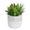 Mixed Succulent In Grey Pot -Garden Tool Store 12909503 7774869235513008
