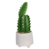 Cactus In Textured Pot -Garden Tool Store 12909506 1524869235473324
