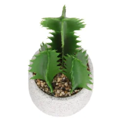 Cactus In Textured Pot -Garden Tool Store 12909506 2804869235539384