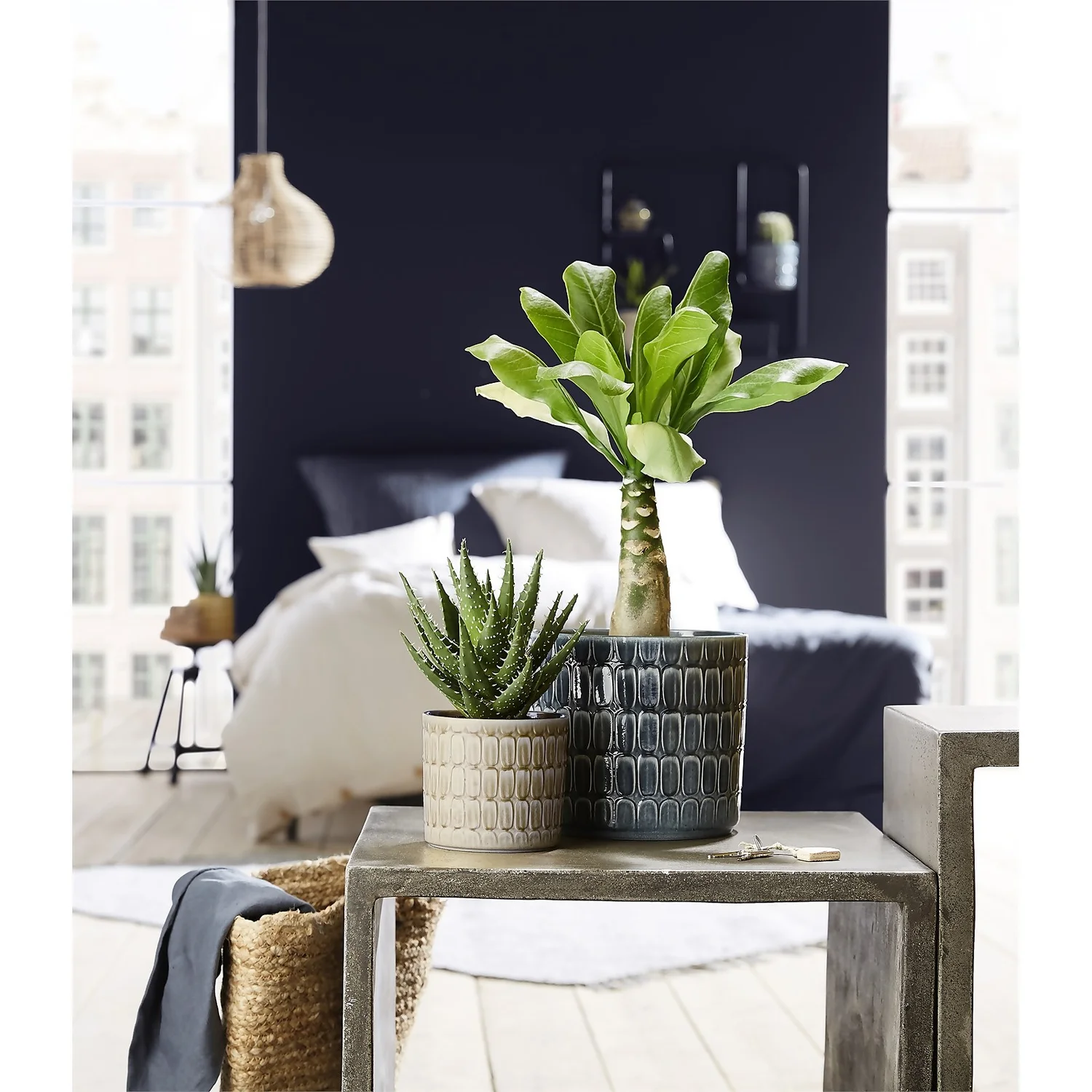 Scheurich Elna Yellow Ceramic Pot - 14cm 5 Scheurich Elna Yellow Ceramic Pot - 14cm - Image 3