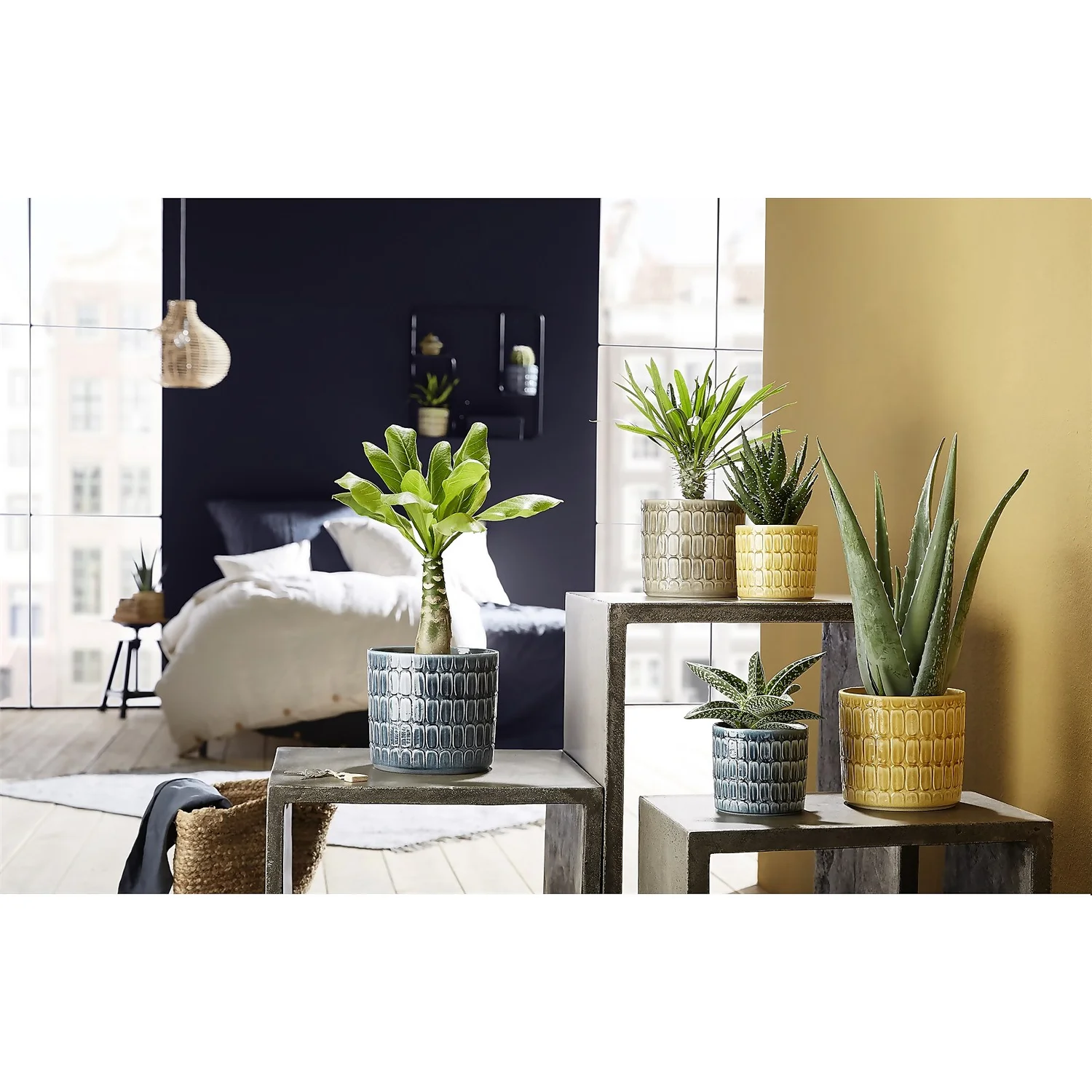 Scheurich Elna Yellow Ceramic Pot - 14cm 4 Scheurich Elna Yellow Ceramic Pot - 14cm - Image 2