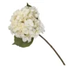 Hydrangea - Creamy Blush -Garden Tool Store 12913562 7914845851793924
