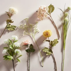 Rose - Light Peach -Garden Tool Store 12913567 8584857400384818