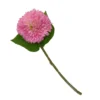 Chrysanthemum - Pink 2 Chrysanthemum - Pink -Garden Tool Store 12913572 3884845852146043