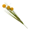 Billy Button 3 Stem - Yellow 2 Billy Button 3 Stem - Yellow -Garden Tool Store 12913574 2024845852206283