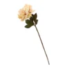 Peony - Pale Pink -Garden Tool Store 12968888 5484942587379602