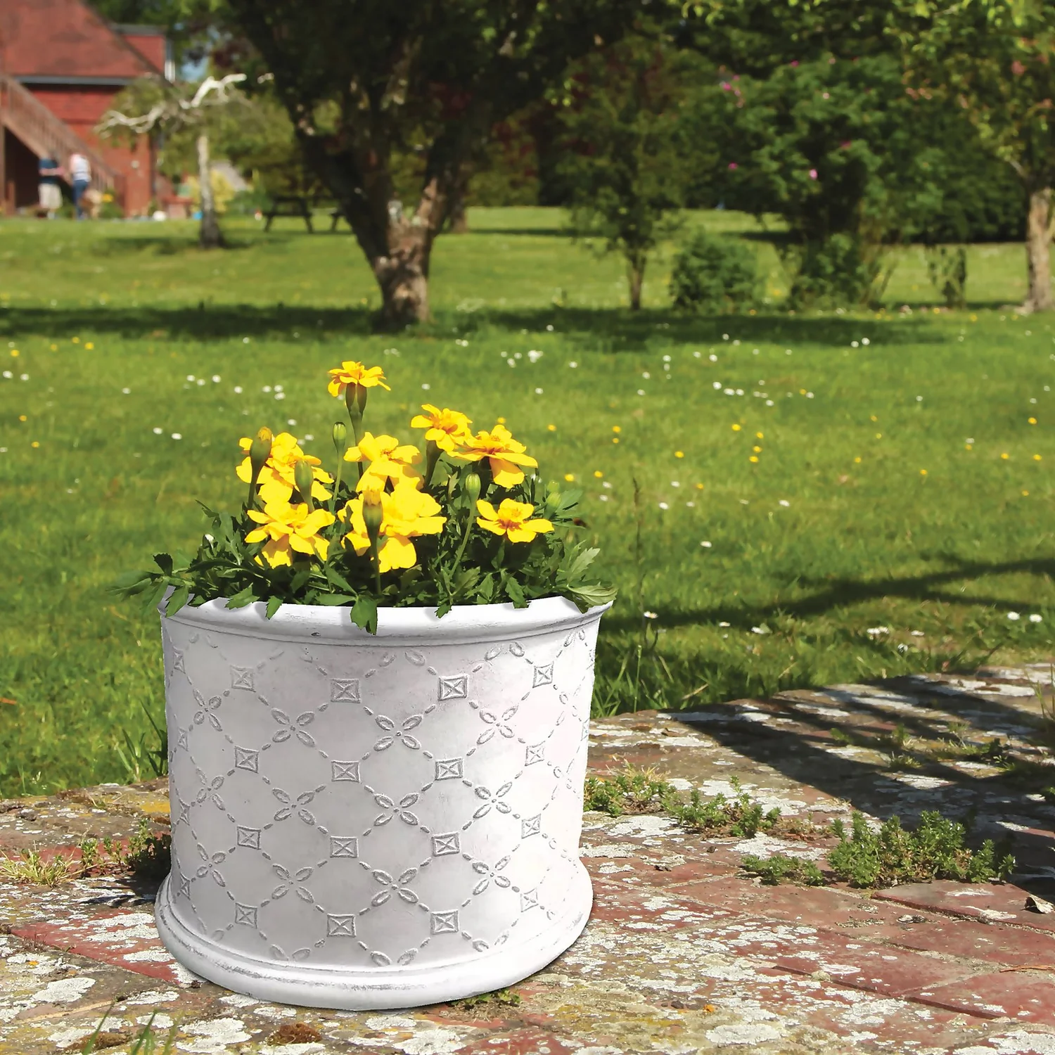 Mayfair Antique White Cylinder Plant Pot - 30cm 4 Mayfair Antique White Cylinder Plant Pot - 30cm - Image 2