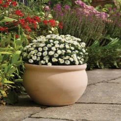 Regency Terracotta Bowl - 28cm -Garden Tool Store 13176837 8994933182875829