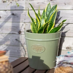 Country Living Heritage Sage Cone Pot - 33cm -Garden Tool Store 13188755 4344933183213293