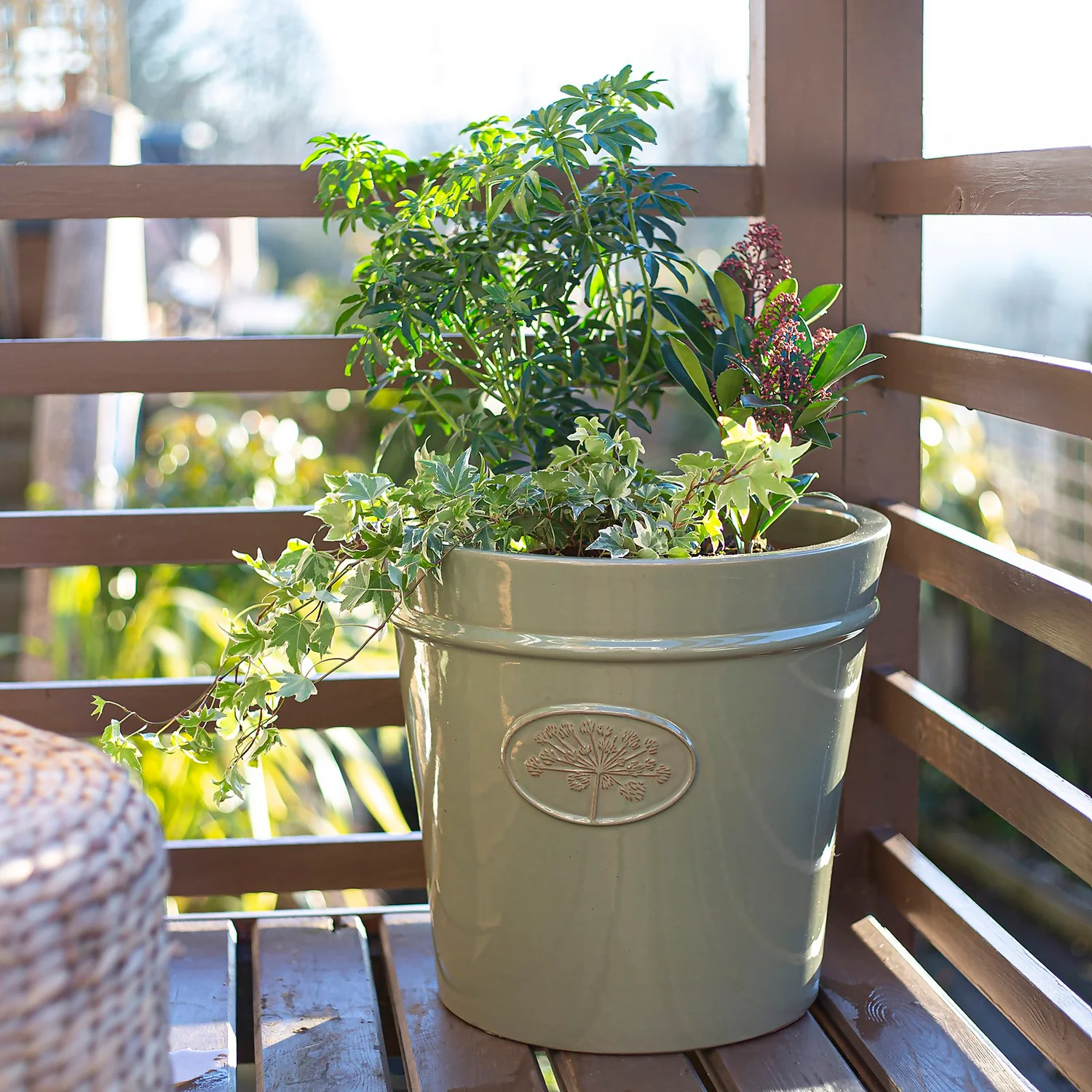 Country Living Heritage Sage Cone Pot - 21cm 4 Country Living Heritage Sage Cone Pot - 21cm - Image 2