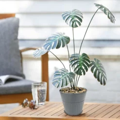 Ribbed Planter (3 Colour Mix) - 12cm -Garden Tool Store 13193954 4474933504214550