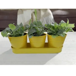 Zinc Ribbed Herb Pots & Tray -Garden Tool Store 13193962 8744933502628279