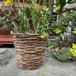Natural Weave Round Garden Planter 25cm -Garden Tool Store 13204835 6704951328905980