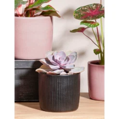 Black Ebano Plant Pot - 13cm -Garden Tool Store 13432912 1804914551054016