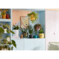 Perla White Plant Pot - 15cm -Garden Tool Store 13432913 1764948249995216