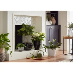 Perla White Plant Pot - 13cm -Garden Tool Store 13432916 5354948242882381