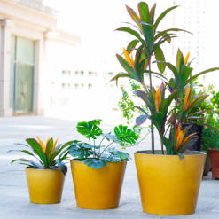 Glazed Finish Planter Mustard 30cm 12 Glazed Finish Planter Mustard 30cm -Garden Tool Store 13928631 8775001956194656