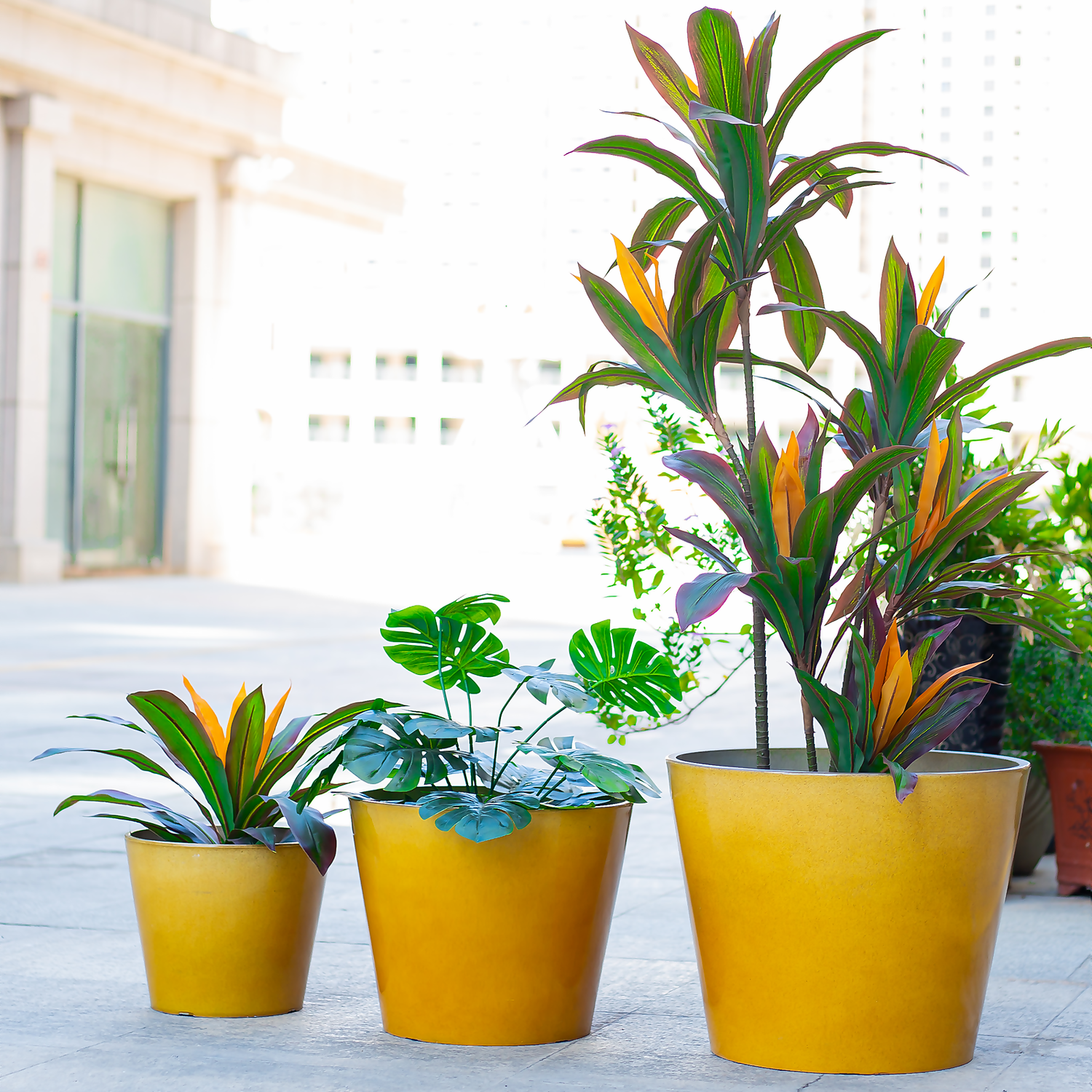 Glazed Finish Planter Mustard 30cm 7 Glazed Finish Planter Mustard 30cm - Image 5