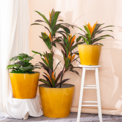 Glazed Finish Planter Mustard 40cm -Garden Tool Store 13928632 1075001956273763