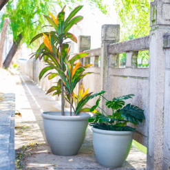 Ashford Planter Grey 35cm 13 Ashford Planter Grey 35cm -Garden Tool Store 13928636 1795001955680876