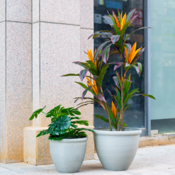 Ashford Planter Grey 35cm 12 Ashford Planter Grey 35cm -Garden Tool Store 13928636 4345001955583745