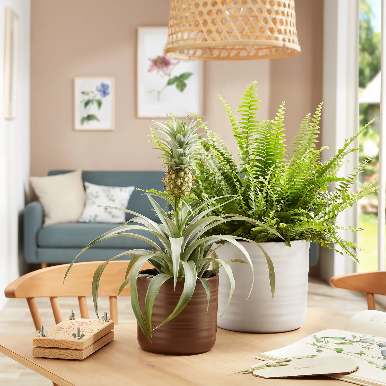 Scheurich Ripple White Indoor Pot - 14cm 4 Scheurich Ripple White Indoor Pot - 14cm - Image 2