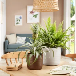 Scheurich Ripple White Indoor Pot - 17cm 6 Scheurich Ripple White Indoor Pot - 17cm -Garden Tool Store 13953259 7284987120144713