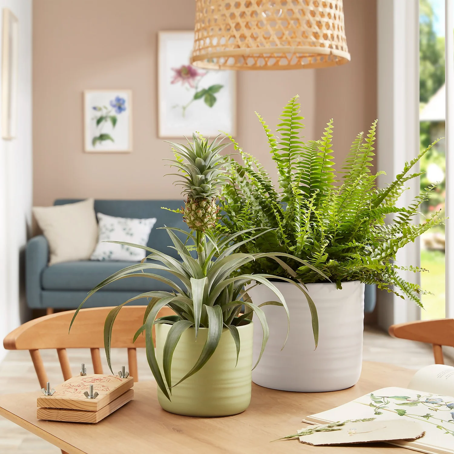 Scheurich Ripple White Indoor Pot - 23cm 5 Scheurich Ripple White Indoor Pot - 23cm - Image 3