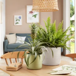 Scheurich Ripple White Indoor Pot - 28cm -Garden Tool Store 13953263 9804987120214778