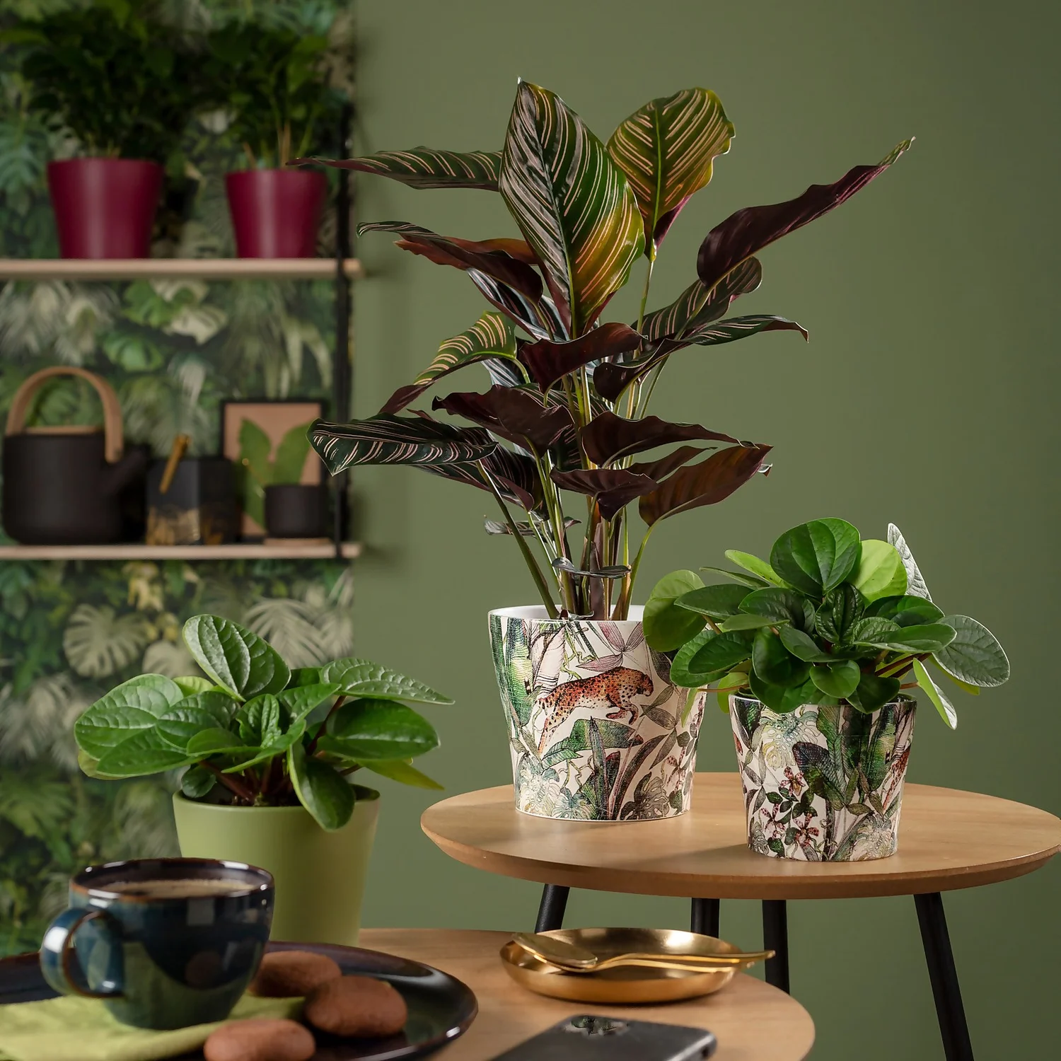 Scheurich Wildlife Indoor Pot - 13cm 4 Scheurich Wildlife Indoor Pot - 13cm - Image 2