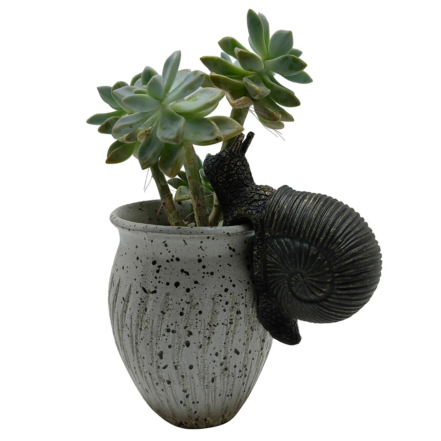 Homebase Animal Pot Hangers - Assorted Designs 8 Homebase Animal Pot Hangers - Assorted Designs - Image 6