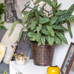 Vintage Allium Patterned Cone Pot - 37cm -Garden Tool Store 13973621 6475011239983391