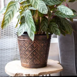 Vintage Allium Patterned Cone Pot - 37cm -Garden Tool Store 13973621 8485011239919857