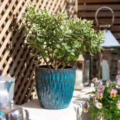 Chiswick Textured Pot Green - 32cm 9 Chiswick Textured Pot Green - 32cm -Garden Tool Store 13973629 1265011238462526