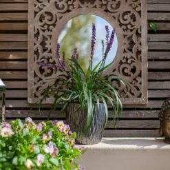 Chiswick Textured Pot Black - 24cm -Garden Tool Store 13973635 4425011239236868