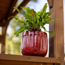 Chiswick Running Pot Red - 24cm -Garden Tool Store 13973650 1515011238582730