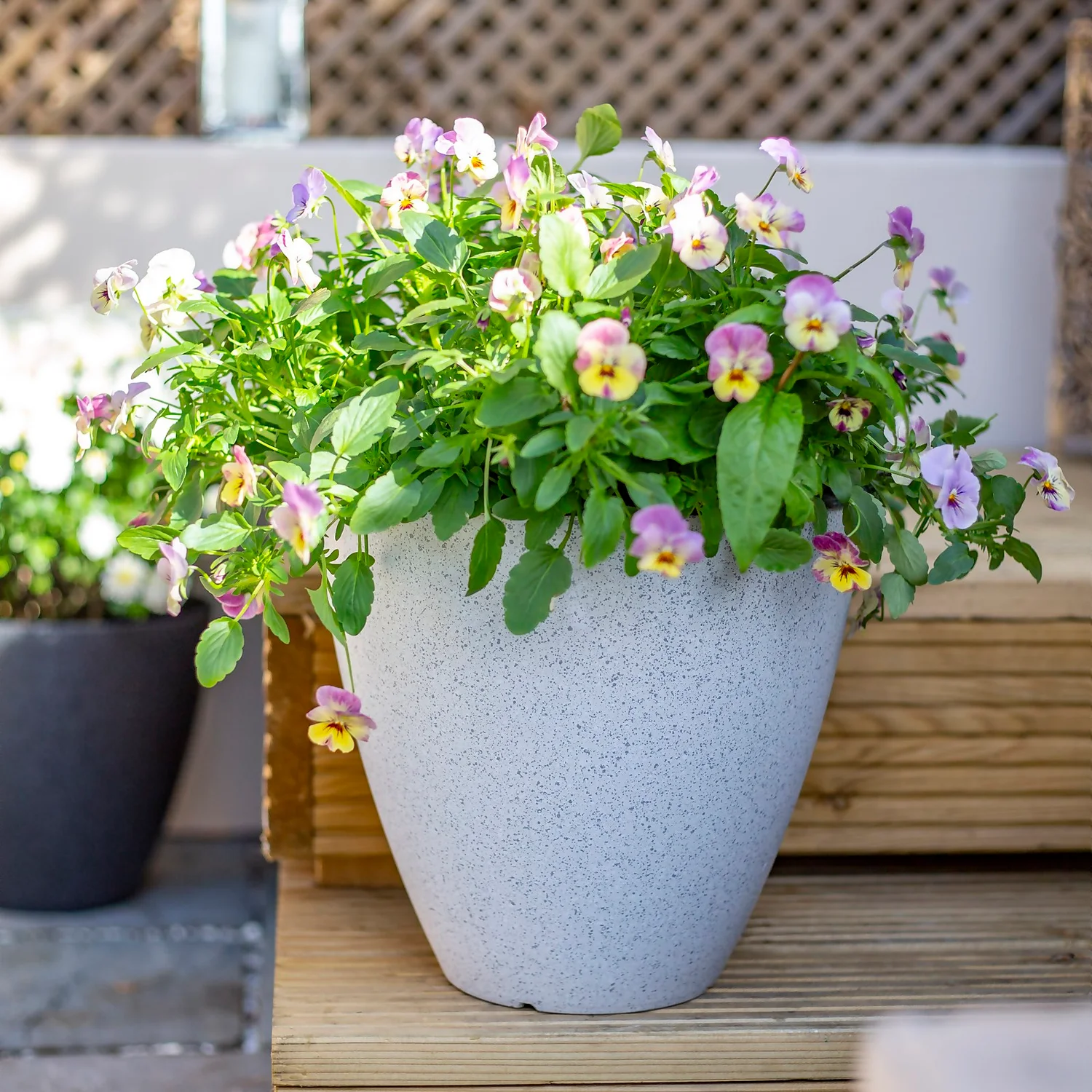 Pinto Egg Pot Beige - 37cm 4 Pinto Egg Pot Beige - 37cm - Image 2