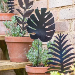 Jungle Black Ground Stakes - 45cm (Assorted Designs) 19 Jungle Black Ground Stakes - 45cm (Assorted Designs) -Garden Tool Store 13981010 1925005324441329