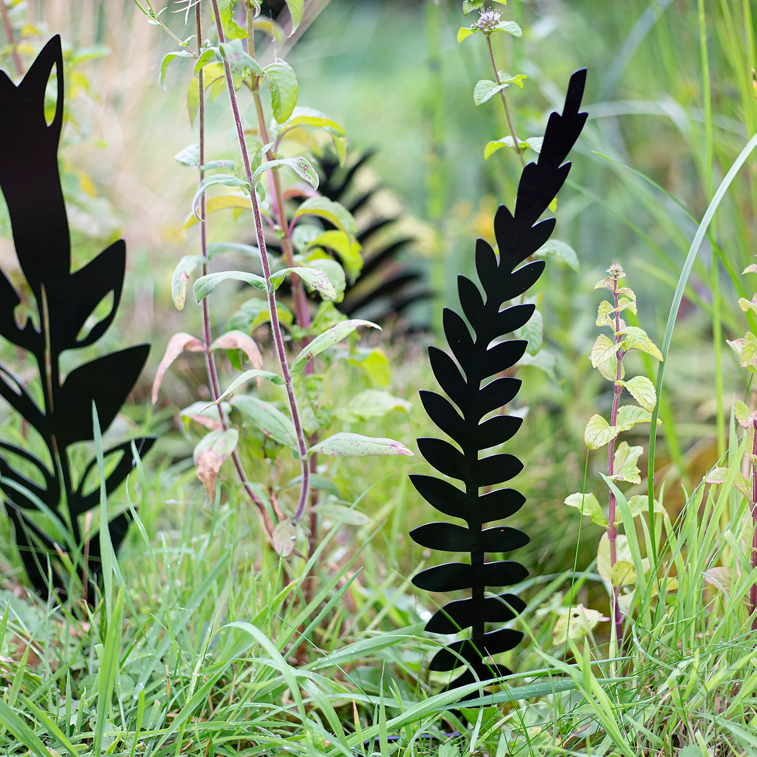 Jungle Black Ground Stakes - 45cm (Assorted Designs) 7 Jungle Black Ground Stakes - 45cm (Assorted Designs) - Image 5