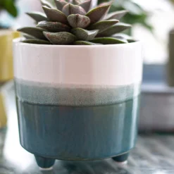 Two Tone Ombre Indoor Plant Pot - 12cm -Garden Tool Store 14197407 8595024191498422