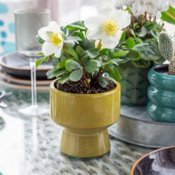 Chamfered Indoor Plant Pot - 13cm -Garden Tool Store 14197408 1605024191451436